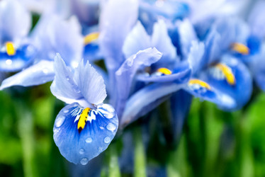 Similar image 21454421