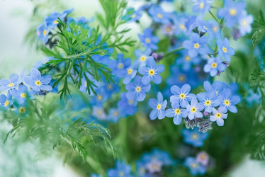 Similar image 21454422