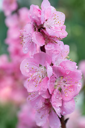 Similar image 21454423