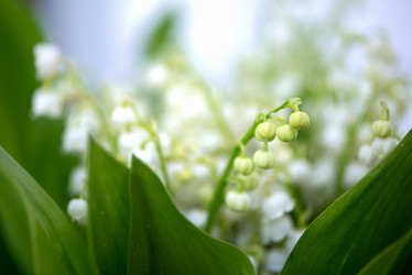 Similar image 21452443