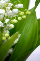 Similar image 21452444