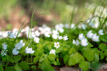 Similar image 21454426