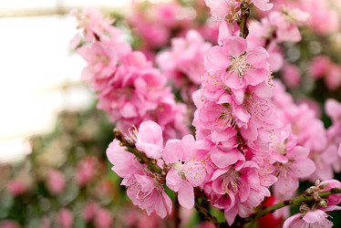 Similar image 21454427