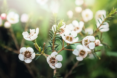 Similar image 21454428