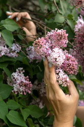 Similar image 21452447