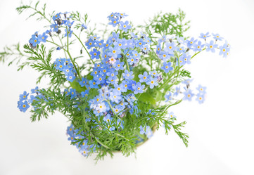 Similar image 21454605