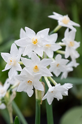 Similar image 21454606