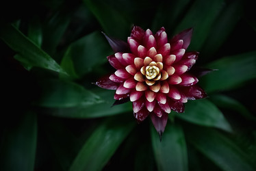 Similar image 21454607