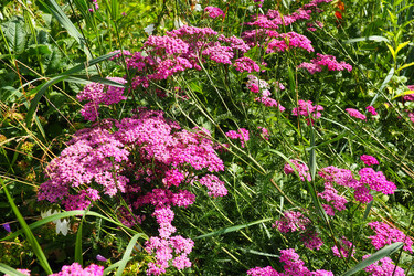 Similar image 21468903