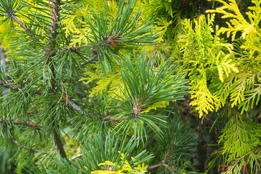 Similar image 21468908