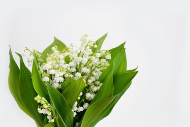 Similar image 21452530