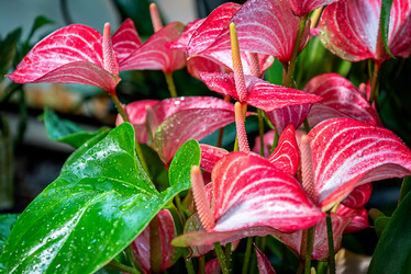 Similar image 21454611