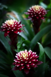 Similar image 21454613