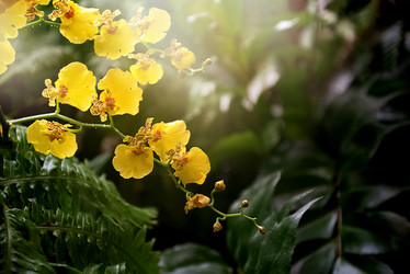 Similar image 21454614