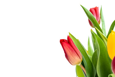 Similar image 21460158