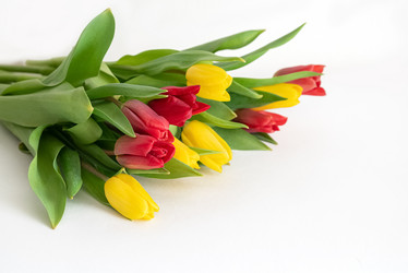 Similar image 21460159