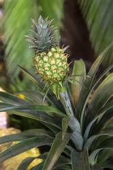 Similar image 21454620