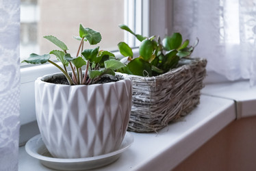 Similar image 21454621