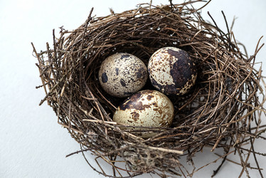 Similar image 21462492