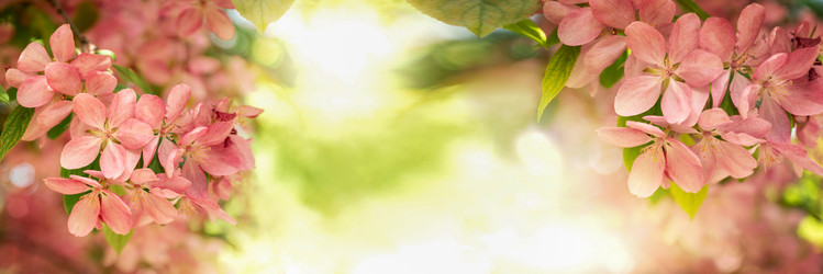 Similar image 21454436