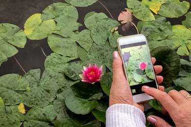 Similar image 21452452