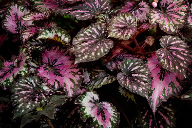 Similar image 21452453