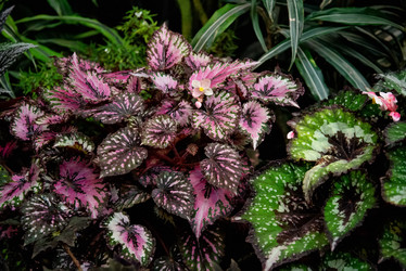 Similar image 21452455