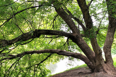 Similar image 21452456