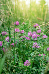 Similar image 21454445