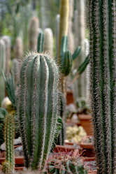 Similar image 21462493