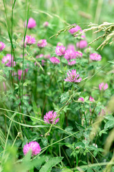 Similar image 21454446