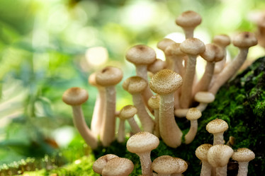 Similar image 21459656