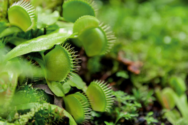 Similar image 21452458