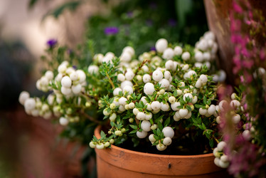 Similar image 21456352