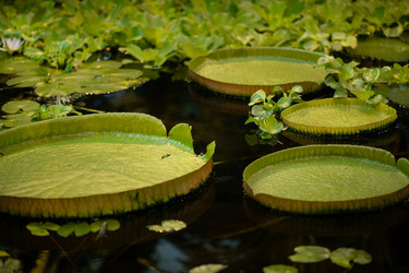 Similar image 21452459