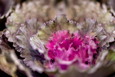 Similar image 21459659