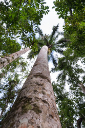 Similar image 21452461