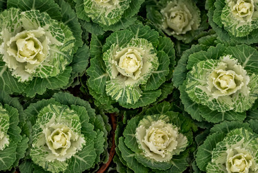 Similar image 21459660