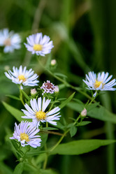 Similar image 21454449