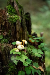 Similar image 21454450