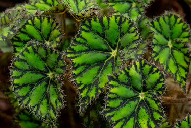 Similar image 21452465