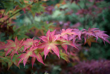 Similar image 21454451