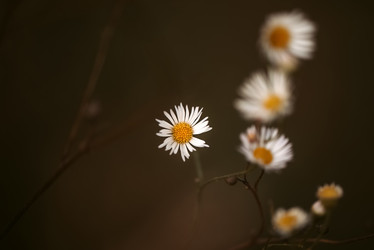 Similar image 21454453