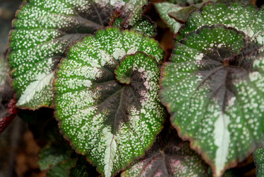 Similar image 21452466