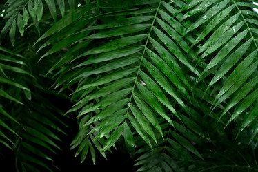 Similar image 21452467