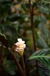 Similar image 21454454