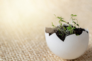 Similar image 21452469