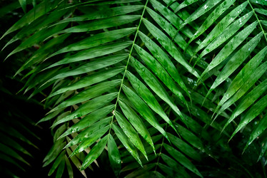 Similar image 21454455