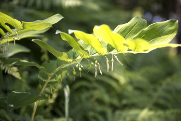 Similar image 21454457