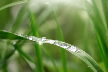 Similar image 21452470